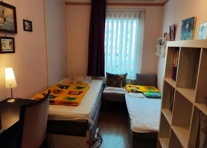 Ruhiges Zimmer In Guter Lage In Wien